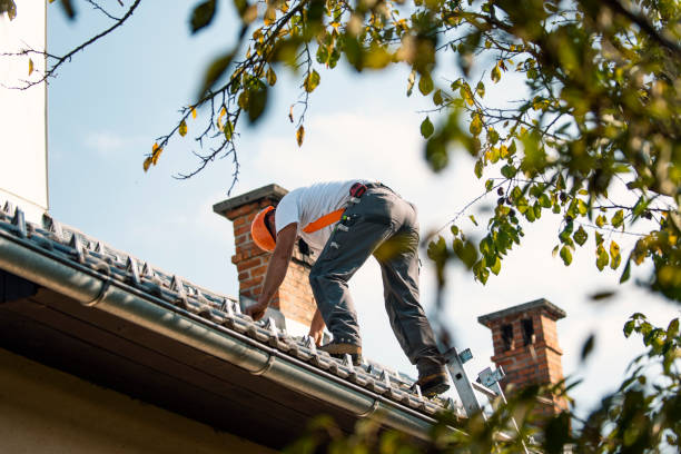 Roof Installation Near Me in Lake Of The Woods, IL