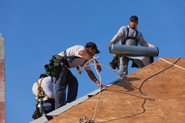 Best Flat Roof Repair Services  in Lake Of The Woods, IL