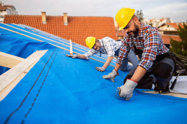 Slate Roofing Contractor in Lake Of The Woods, IL