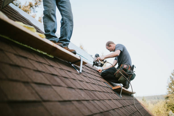 Residential Roof Replacement in Lake Of The Woods, IL